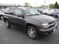 Graphite Metallic - TrailBlazer LS 4x4 Photo No. 3
