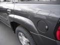 Graphite Metallic - TrailBlazer LS 4x4 Photo No. 8