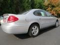 Silver Frost Metallic - Taurus SE Photo No. 3