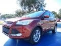 2014 Sunset Ford Escape SE 2.0L EcoBoost  photo #1