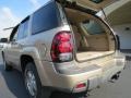 2004 Sandstone Metallic Chevrolet TrailBlazer LS 4x4  photo #10