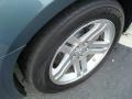 Magnesium Pearlcoat - Charger R/T Photo No. 9