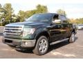 2013 Green Gem Metallic Ford F150 XLT SuperCrew 4x4  photo #1