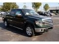 2013 Green Gem Metallic Ford F150 XLT SuperCrew 4x4  photo #3