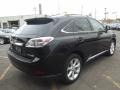 2010 Obsidian Black Lexus RX 350 AWD  photo #3