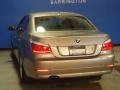 2010 Platinum Bronze Metallic BMW 5 Series 528i xDrive Sedan  photo #5