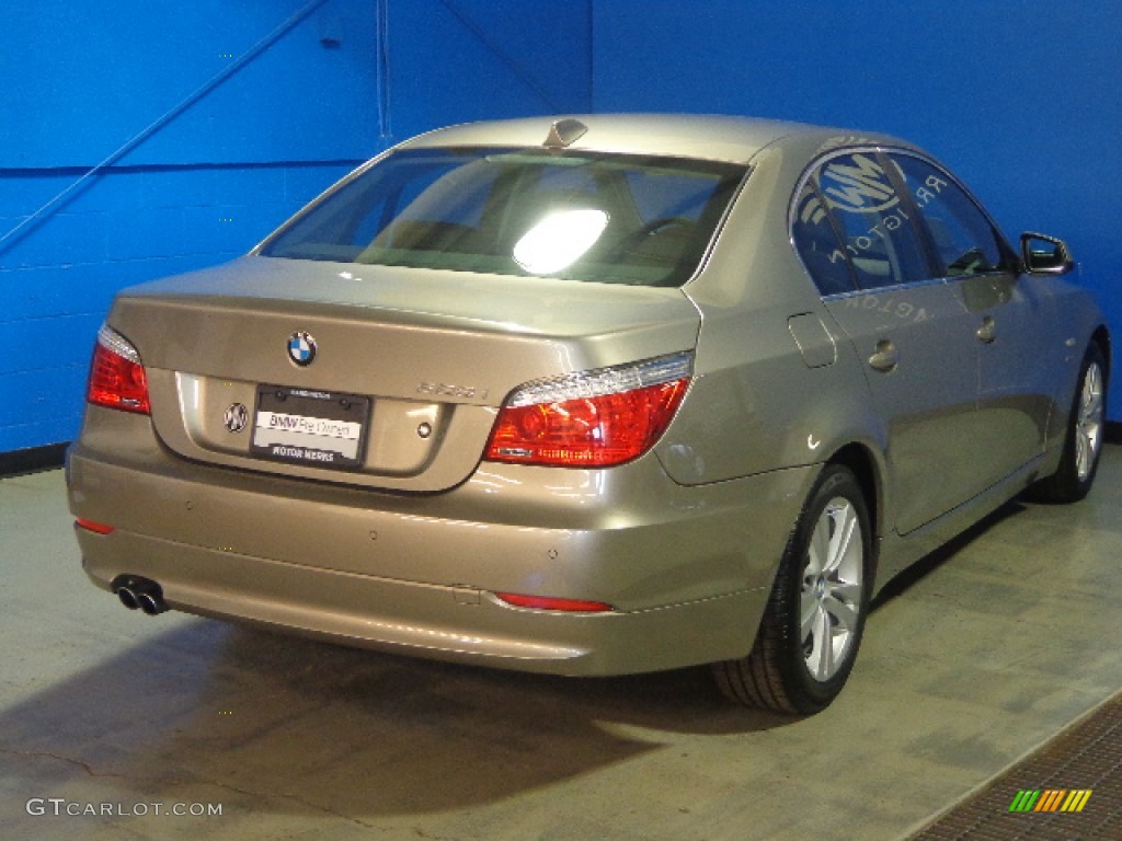 2010 5 Series 528i xDrive Sedan - Platinum Bronze Metallic / Black Dakota Leather photo #8