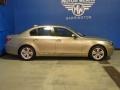 2010 Platinum Bronze Metallic BMW 5 Series 528i xDrive Sedan  photo #9