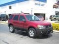 2007 Redfire Metallic Ford Escape XLT  photo #1