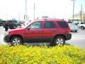 2007 Redfire Metallic Ford Escape XLT  photo #6