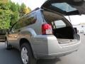 2008 Satin Meisai Pearl Mitsubishi Endeavor LS  photo #10