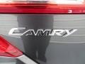Magnetic Gray Metallic - Camry XLE Photo No. 14