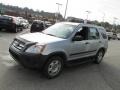 2006 Alabaster Silver Metallic Honda CR-V LX 4WD  photo #4