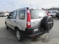 2006 Alabaster Silver Metallic Honda CR-V LX 4WD  photo #6