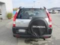 2006 Alabaster Silver Metallic Honda CR-V LX 4WD  photo #7