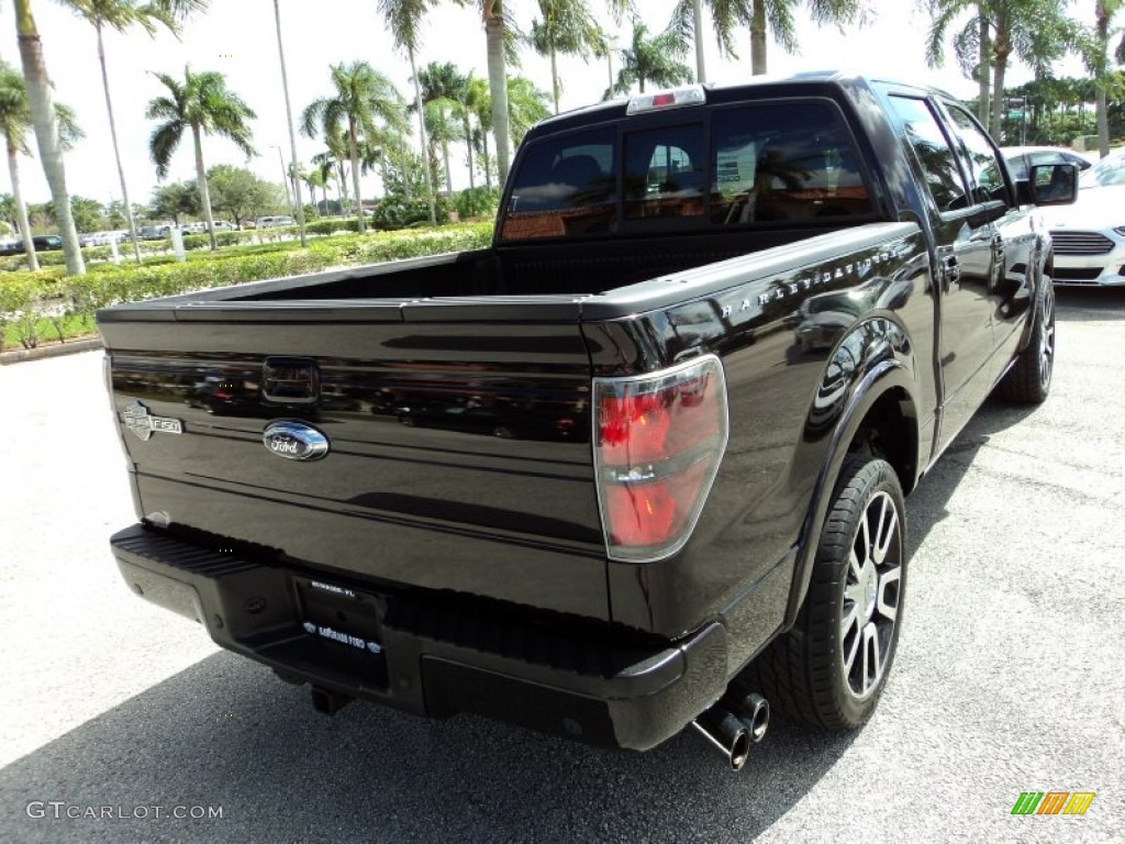 2010 F150 Harley-Davidson SuperCrew 4x4 - Lava Red Metallic / Harley Davidson Lava Red/Black photo #6
