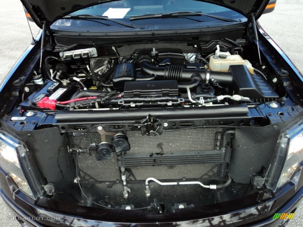 2010 Ford F150 Harley-Davidson SuperCrew 4x4 Engine Photos