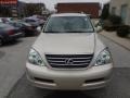 Desert Sage Green Metallic - GX 470 Photo No. 10