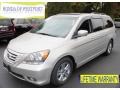 Silver Pearl Metallic - Odyssey Touring Photo No. 1