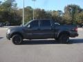 Dark Stone Metallic - F150 XLT SuperCrew 4x4 Photo No. 2