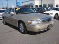 2009 Light French Silk Metallic Lincoln Town Car Signature Limited  photo #7