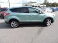 2013 Frosted Glass Metallic Ford Escape SEL 1.6L EcoBoost  photo #12