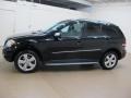 Black - ML 350 4Matic Photo No. 5