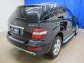 Black - ML 350 4Matic Photo No. 9