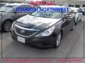 Phantom Black Metallic - Sonata GLS Photo No. 1