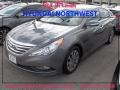 2014 Harbor Gray Metallic Hyundai Sonata Limited  photo #1