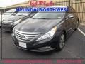 2014 Phantom Black Metallic Hyundai Sonata Limited  photo #1