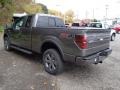 2013 Sterling Gray Metallic Ford F150 FX4 SuperCab 4x4  photo #6