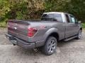 2013 Sterling Gray Metallic Ford F150 FX4 SuperCab 4x4  photo #8