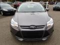 2014 Sterling Gray Ford Focus SE Sedan  photo #3