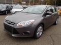 2014 Sterling Gray Ford Focus SE Sedan  photo #4