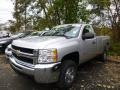 2010 Sheer Silver Metallic Chevrolet Silverado 2500HD Regular Cab 4x4  photo #1