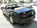 Black - Mustang V6 Convertible Photo No. 10