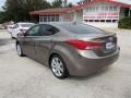 Desert Bronze - Elantra Limited Photo No. 4