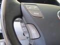Mercury Metallic - LS 460 Photo No. 9