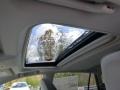 Spruce Green Mica - RAV4 XLE AWD Photo No. 15