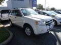 White Suede - Escape XLT Photo No. 3