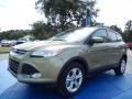 2014 Ginger Ale Ford Escape SE 2.0L EcoBoost  photo #1