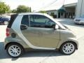 2009 Gray Metallic Smart fortwo passion cabriolet  photo #9