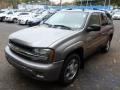 2007 Graystone Metallic Chevrolet TrailBlazer LS 4x4  photo #3