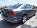 Platinum Gray Metallic - Passat TDI SE Photo No. 6