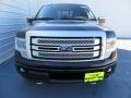 2013 Tuxedo Black Metallic Ford F150 Platinum SuperCrew 4x4  photo #8