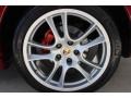 2010 Porsche Cayenne GTS Wheel and Tire Photo