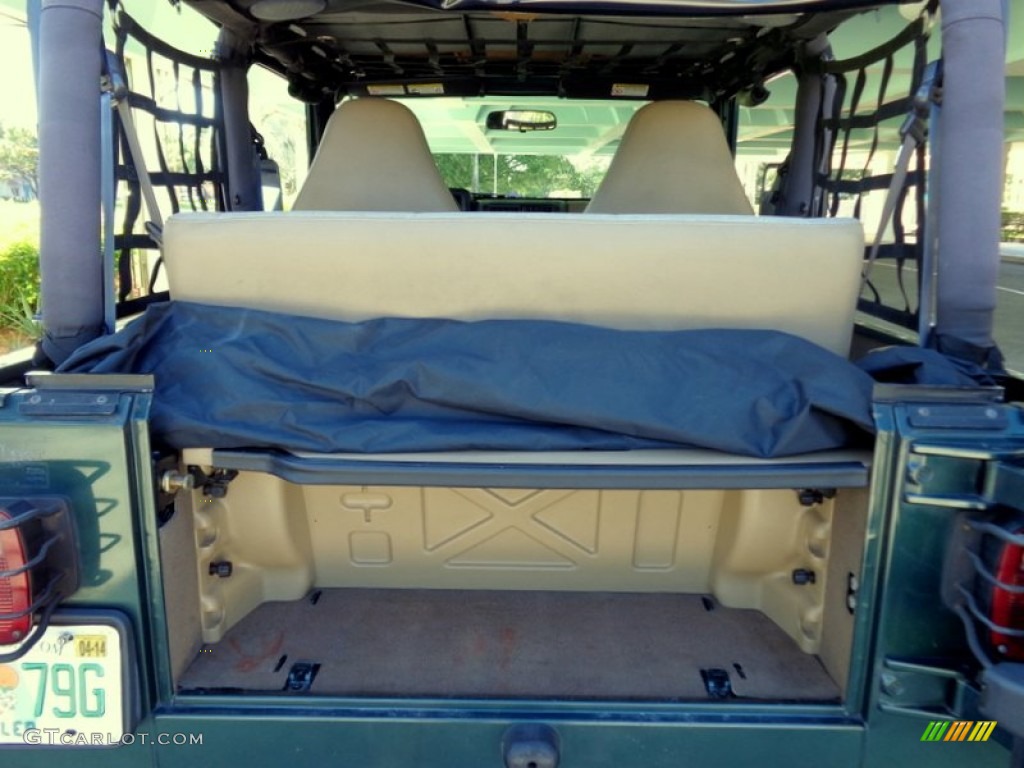 2001 Wrangler Sport 4x4 - Forest Green / Camel photo #6