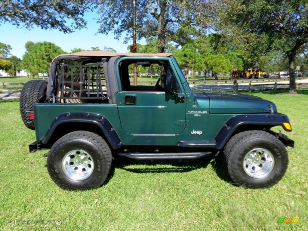 2001 Wrangler Sport 4x4 - Forest Green / Camel photo #7