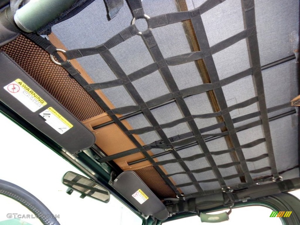2001 Wrangler Sport 4x4 - Forest Green / Camel photo #8